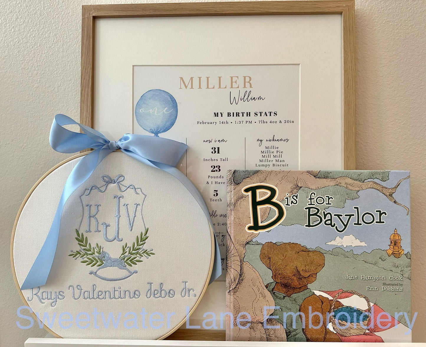 Baby Announcement Hoop Banner