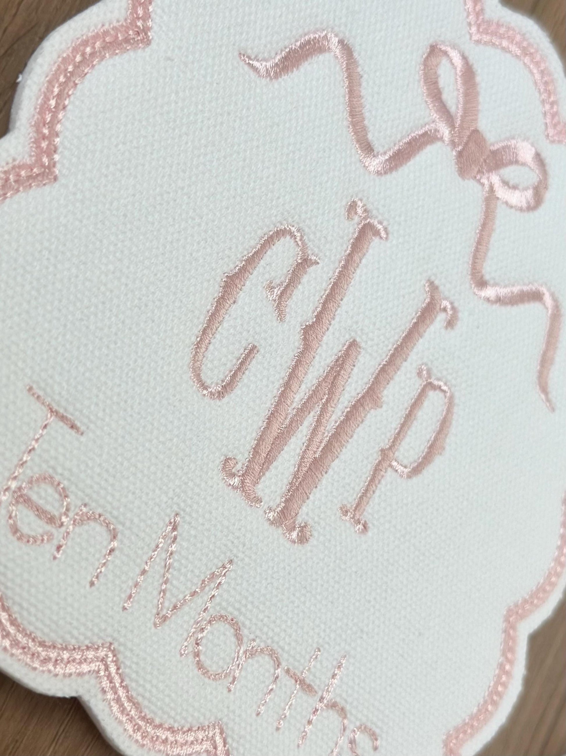 Baby Monthly Milestone Cards