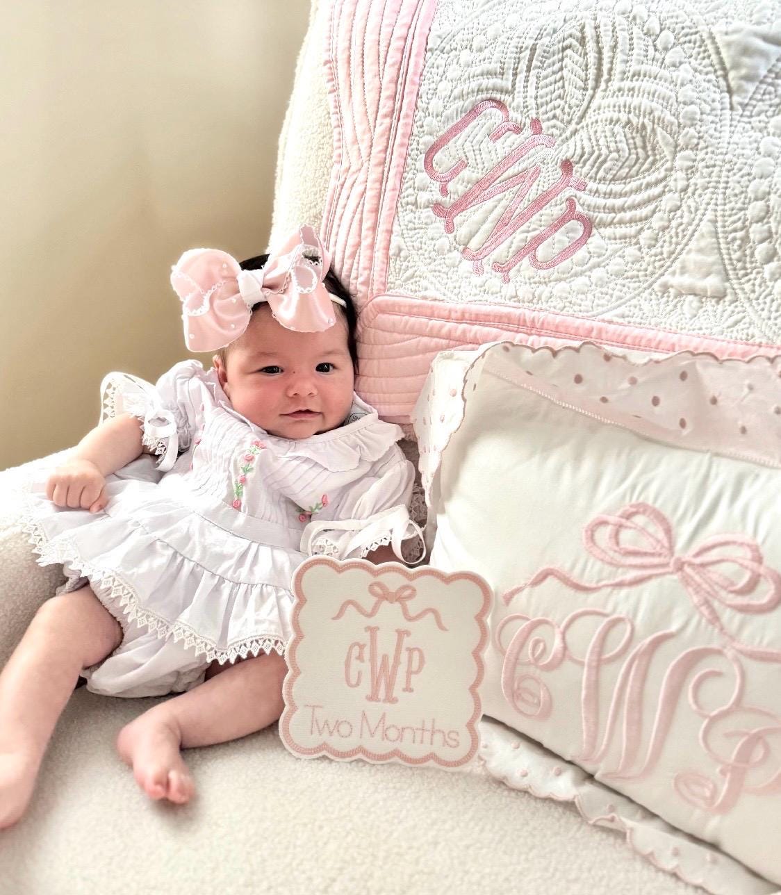 Baby Monthly Milestone Cards